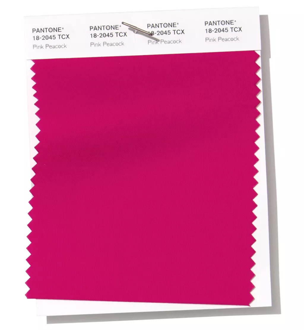 2019春夏流行色:粉紅色的孔雀