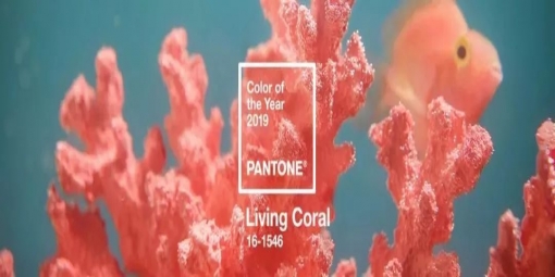 2019 年度流行色來了 —— 珊瑚橙Living Coral